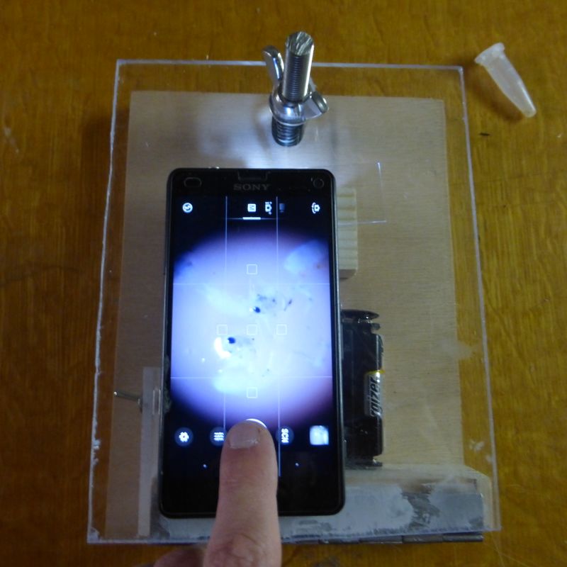 Microscope fonctionnant avec un smartphone P1010977.JPG